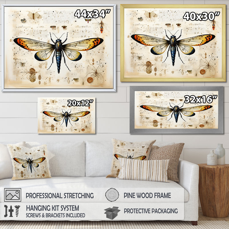 Schéma d'un papillon de nuit beige et jaune - insectes et art mural, Cadre flottant doré, H 16 po x l 32 po x P 1 po