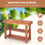 Shoe Rack-1466741849