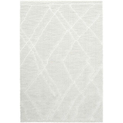Hillview Rectangle Geometric Berber Area Rug