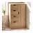 Storage Cabinet with Drawers