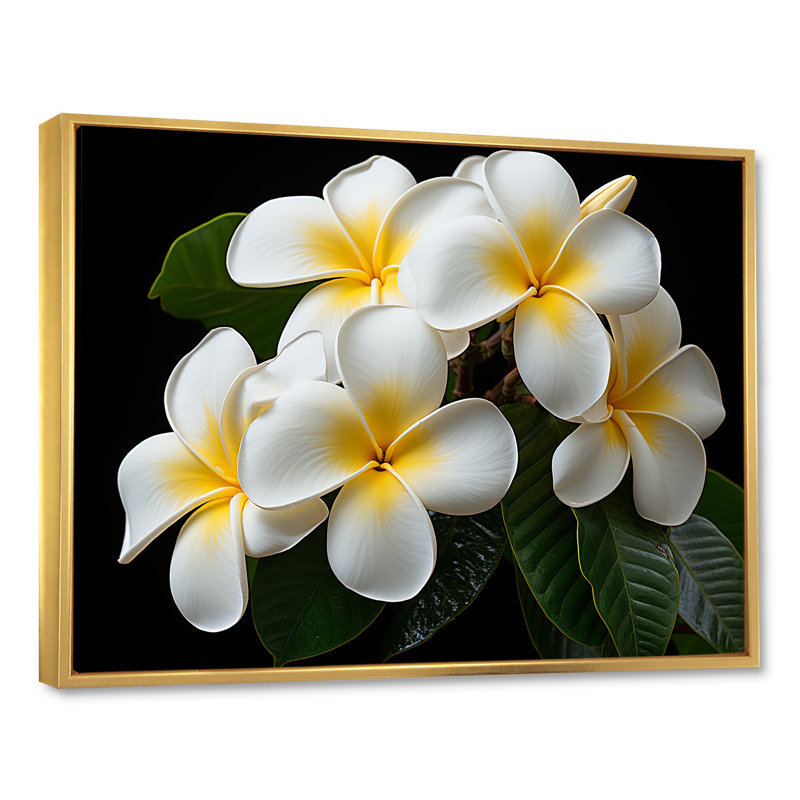 Blanc pureté de Plumeria Essence florale I - art mural Plumeria, Cadre flottant doré, H 34 po x l 44 po x P 1,5 po
