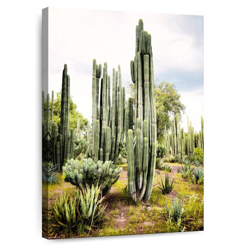 Harnek Viva, Mexique - Cactus Cardon I, H 24 po x l 16 po