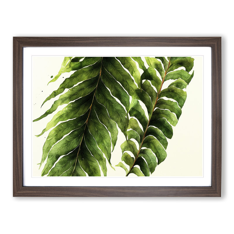 XH1022-9831X Fern Leaf Vol.3 - Single Picture Frame Print, 46cm H x 64cm W x 2cm D, Walnut Framed