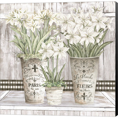 «Amaryllis Multi Pots» par Cindy Jacobs, art mural sur toile