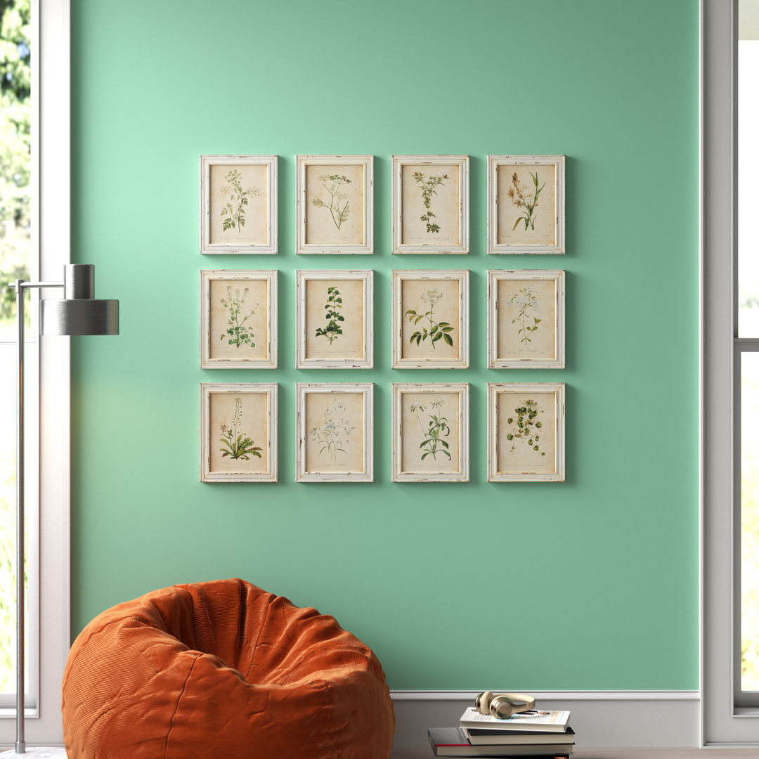 " Wild Flower Botanical " 12 - Pieces Kelly Clarkson Home