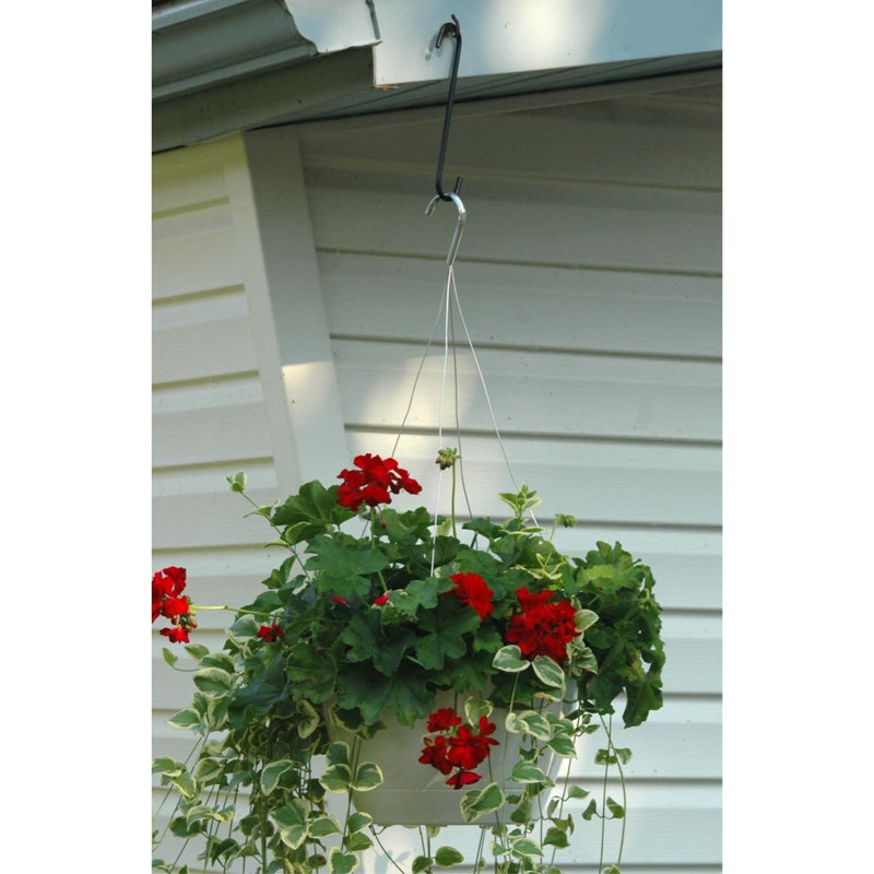 Loressa Hanging Hook