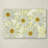 'Daisy Flowers' Photographic Print on Wrapped Canvas-32709488
