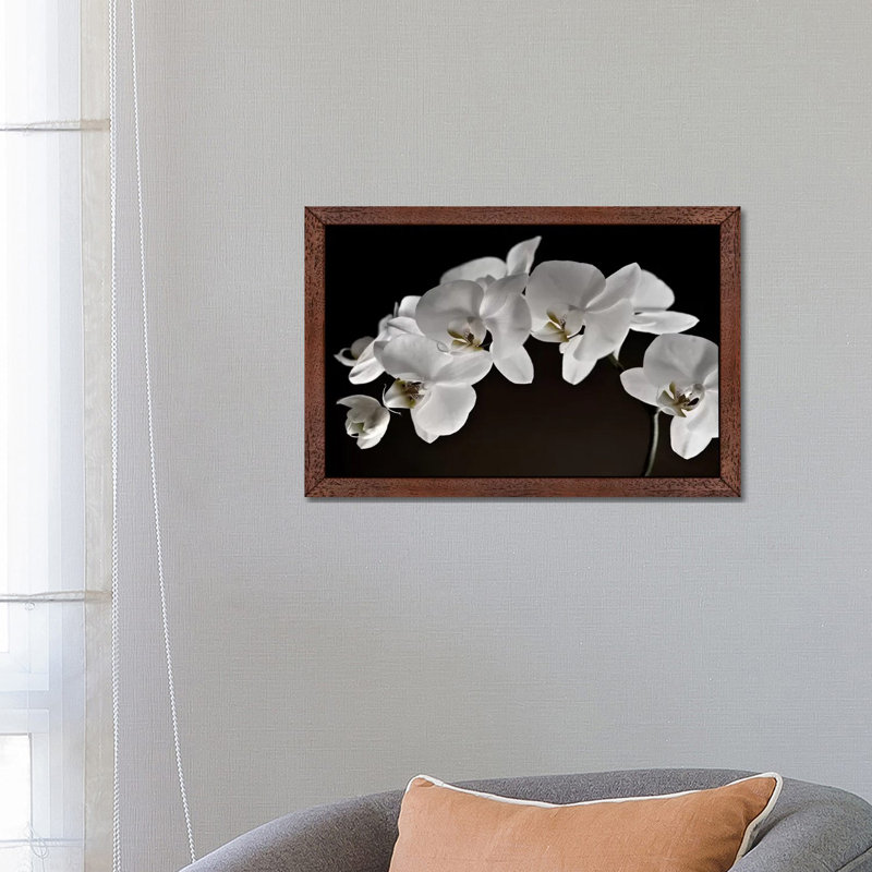 Orchids - Floater Frame Print on Canvas, 66.04 cm H x 45.72 cm W, Brown