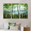 «Green Sunny Forest», photographie flottante sur toile 3 pièces-1573221951-1573221946