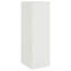 Alyda Steel Accent Cabinet-893228395