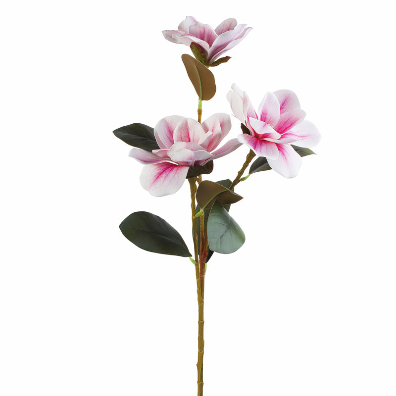 Magnolia Arrangement, Pink