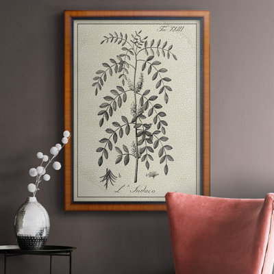 Toile encadrée botanique antique noire et blanche de qualité supérieure - prête à être accrochée