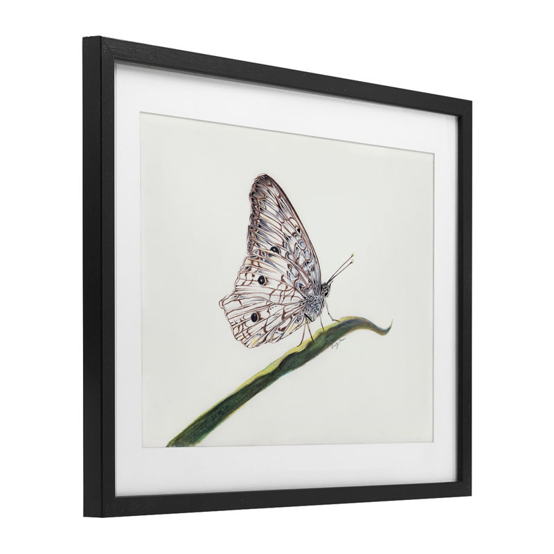 «Intricate Butterfly on Twig», reproduction encadrée sous verre, conception de Cady, H 13 po x l 16 po, Cadre noir minuit