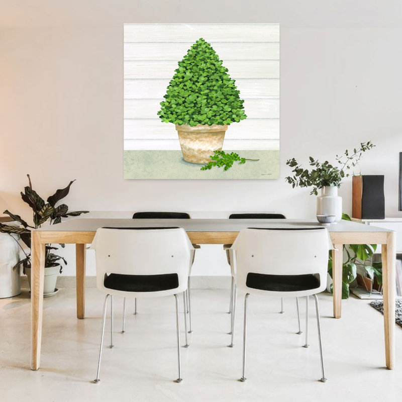 Arbre de buis en pot contemporain, H 36 po x l 36 po