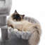 Tour pour chat 28,5 po de hauteur-1837558104