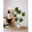 Simulation de plante verte Happiness Tree Living Room-110897959