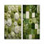 Botanicals Green Floral Tiles I - ensemble de 2 reproductions d'art mural en métal-1575545027