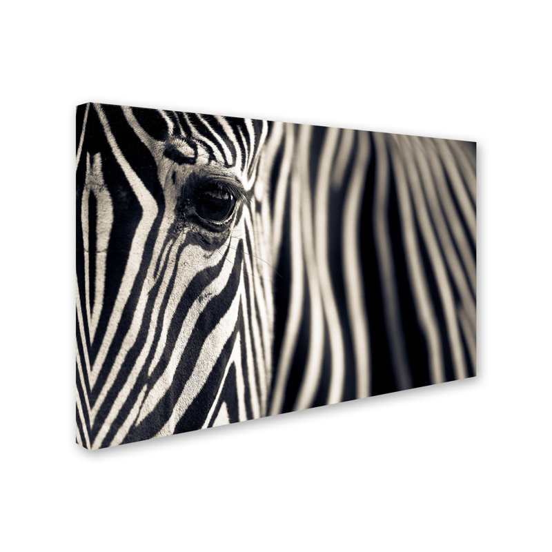 « eye & rayures », reproduction de photo sur toile tendue, 16 po x 24 po