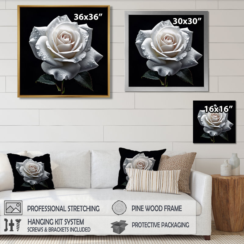 Blooming White Rose On Black - Rose, art mural, Toile avec cadre flottant or, H 36 po x l 36 po x P 1,5 po