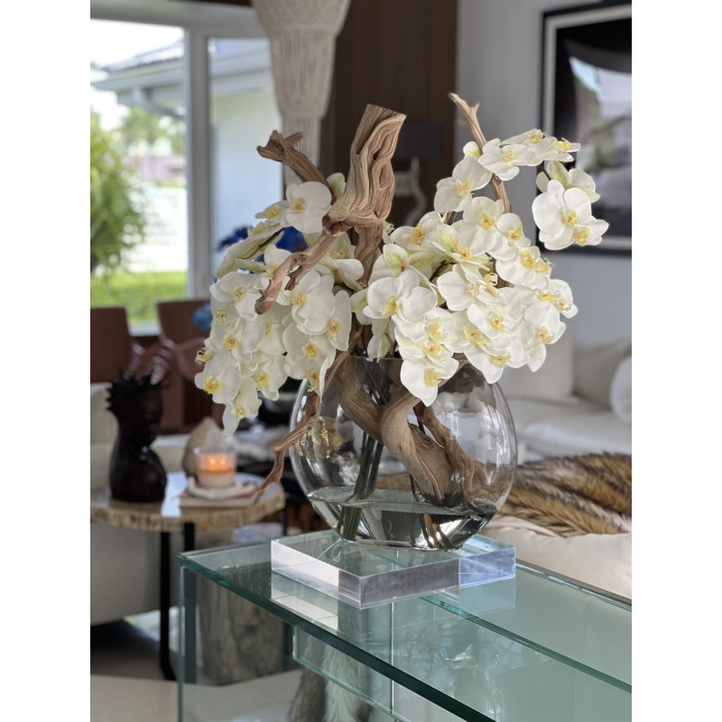 Phaleanopsis and California Sandblasted Ghostwood Orchids Centerpiece in Vase
