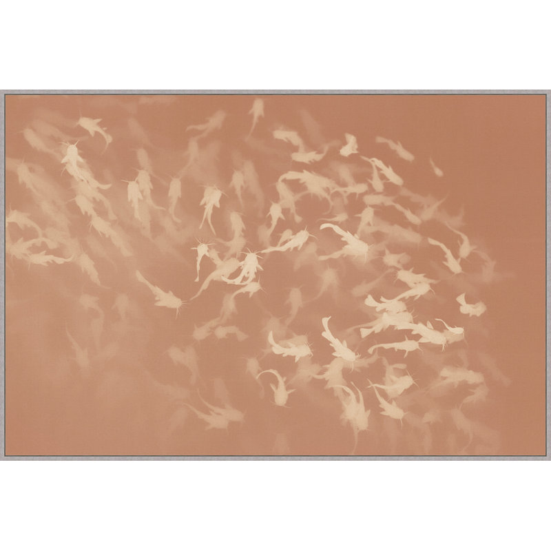 Swimming In Blush 1 Print by Thom Filicia