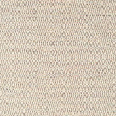 Indoor Rug