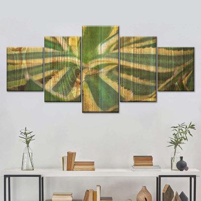 «Succulent Striped Agave Succulents on Canvas», ensemble de 5 pièces