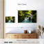 Cascade Alvord-108700583