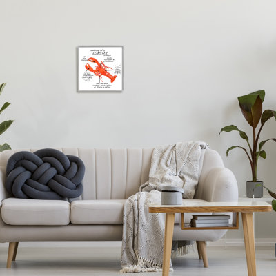 «Lobster Anatomy Nautical Sea Life», giclée, art texturé par vaisselle