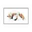 Mousing Fox II 1 Piece Wrapped Canvas Wall Art-1484438607-1519809542