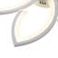 Chrisly Ceiling Fan with LED Lights