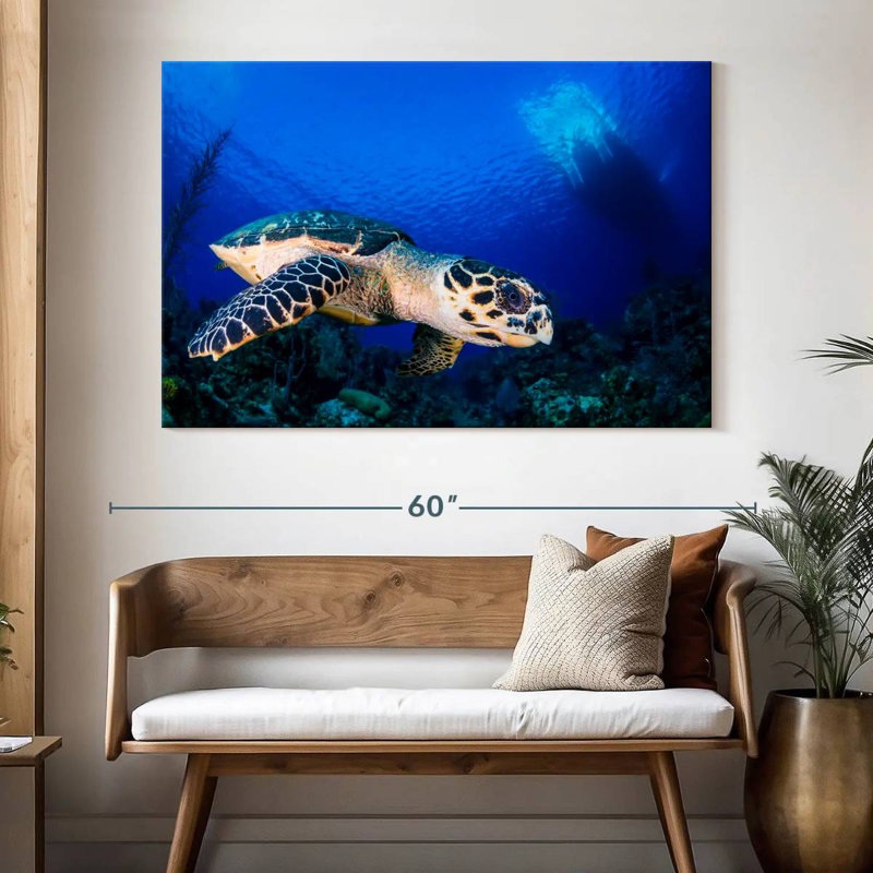 Brampt Underwater Hawksbill Turtle, 34" H x 51" W