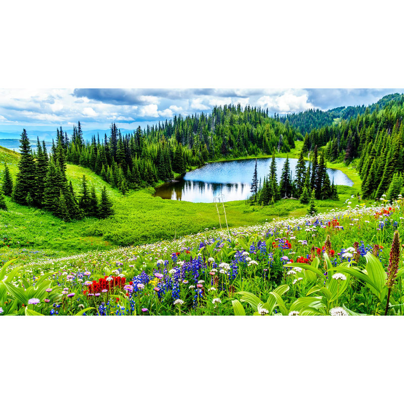 «Tranquil Mountain Meadow», art sur toile, H 20 po x l 40 po