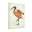 Animaux, animaux, écarlate, oiseau, impression sur toile-2105703341