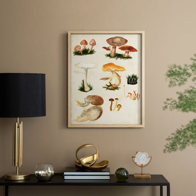 «Mushroom Species IV», reproduction encadrée - bois massif