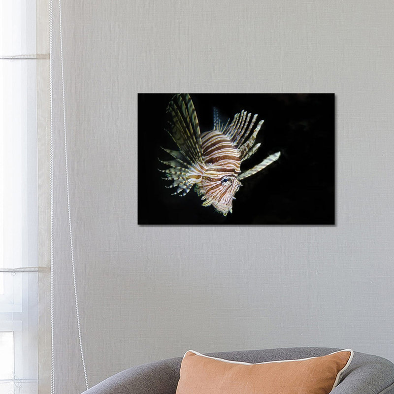 In The Dark by David Gardiner - Print on Canvas, 66.04 cm H x 45.72 cm W x 3.175 cm D, Wrapped Canvas