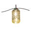Tortola Outdoor Wall Lantern