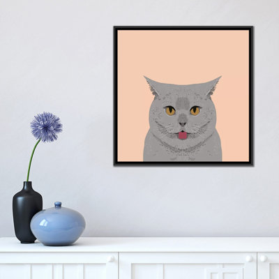" British Shorthair " by Pet Friendly