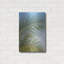 «Tropical II» par Dennis Frates-25019650