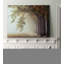 " Dawnscratchers "-29146262-31992801