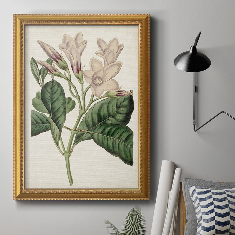 Toile encadrée de qualité supérieure Antique Botanical Collection, H 20 po x l 16 po x P 2,5 po