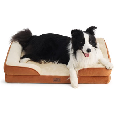 Lit confortable pour chien