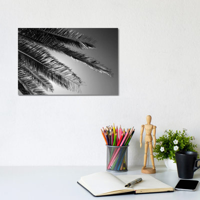 Palm 1 Piece Wrapped Canvas Wall Art
