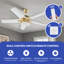Rahaf Ceiling Fan with LED Lights