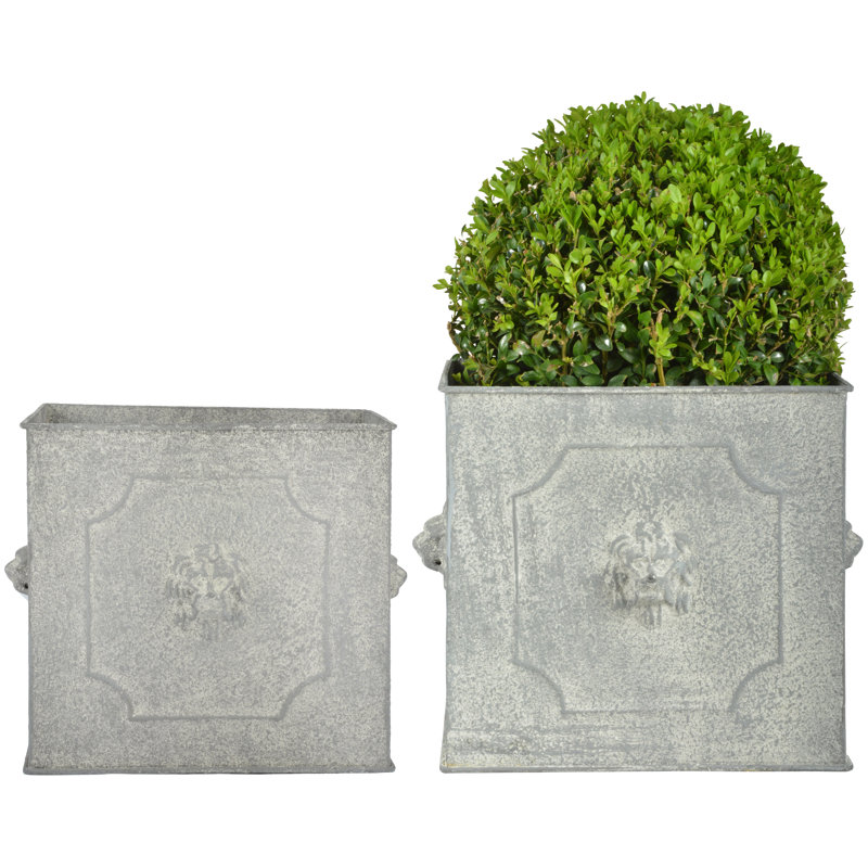 Square Lion Planter
