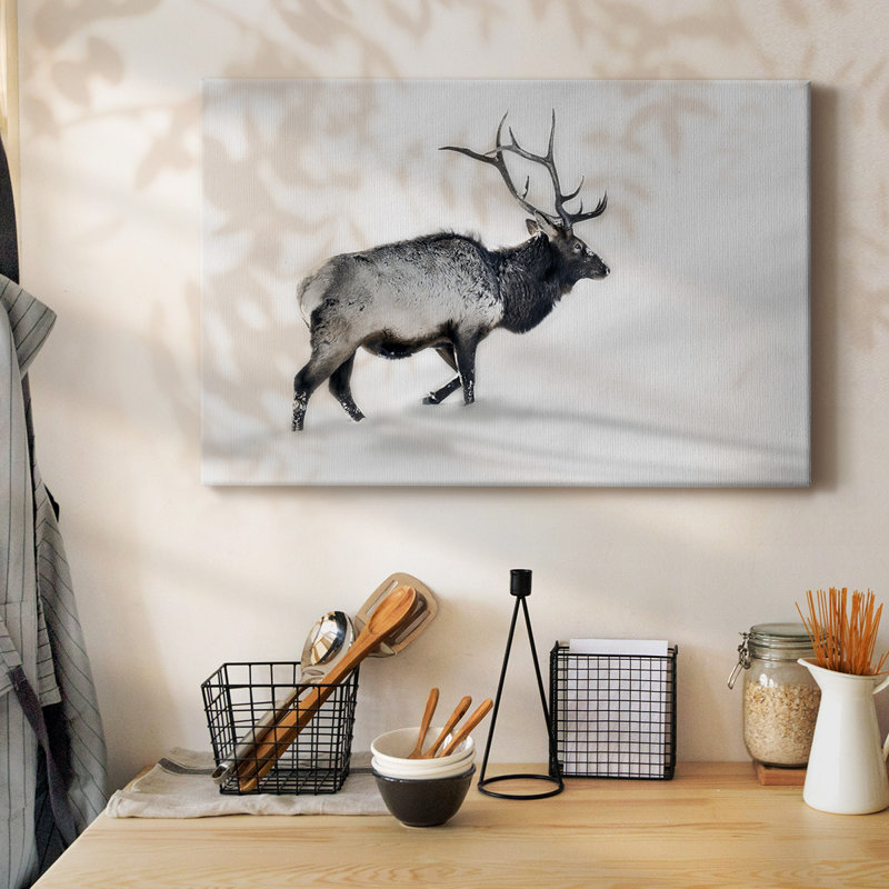 Toile tendue Lone Bull-Gallery