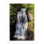 Cascade de forêt, plaque murale, par Jeff Poe, photographie-82966358