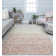 Bekin Performance Ombre Indoor Rug
