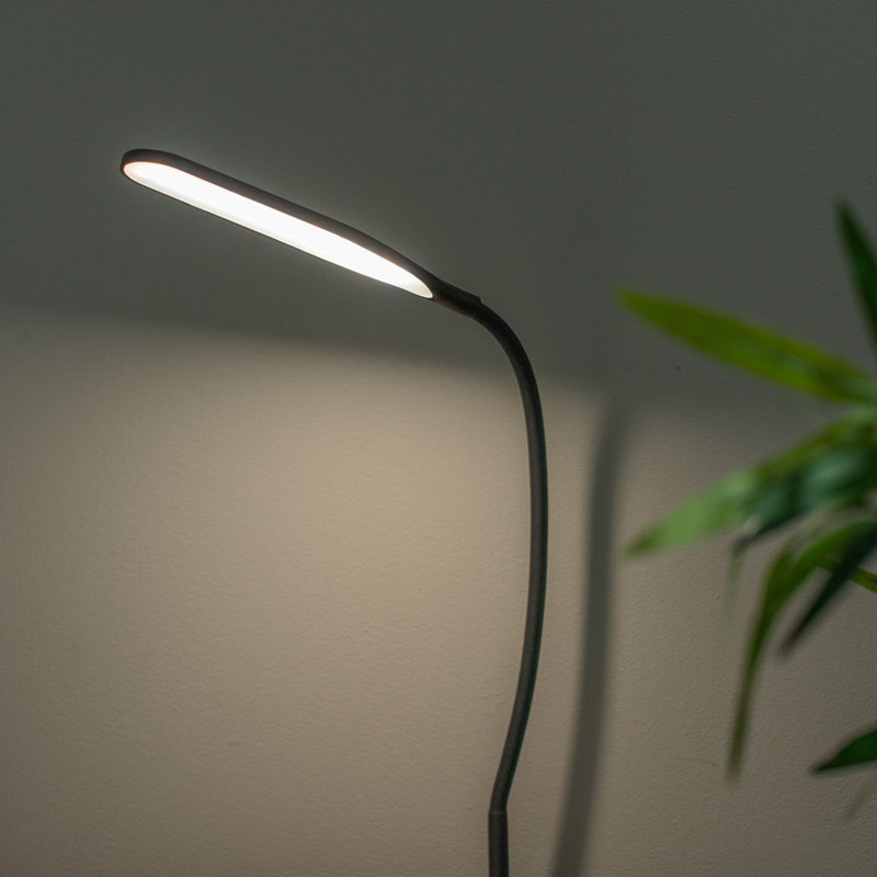 Ceona Lamp, Black