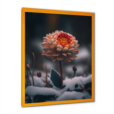 Une fleur de dahlia orange en fleurs I - impression sur toile